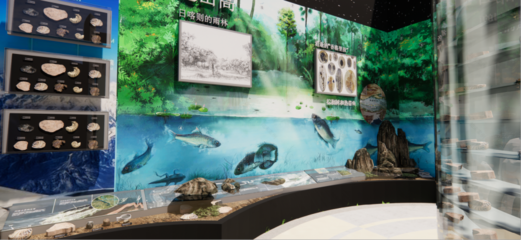 青藏高原綜合科學考察與研究古生物展廳 在拉薩之巔，探尋生命演化的史詩