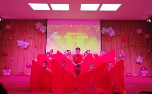新交流 心融合 南陽醫(yī)專國(guó)際文化交流周文藝晚會(huì)精彩回顧