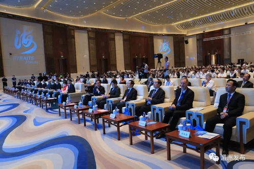 第十屆海峽論壇 媽祖文化活動(dòng)周暨海峽兩岸 媽祖與健康 高峰論壇在湄洲島開幕