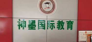 校外培訓(xùn)機(jī)構(gòu)整治工作有喜有憂(yōu)，文化藝術(shù)交流活動(dòng)策劃如何助力教育生態(tài)優(yōu)化